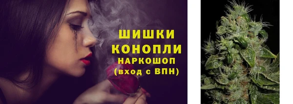 гидра Белоозёрский