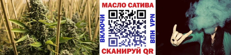 где найти   Бородино  ТГК Wax 