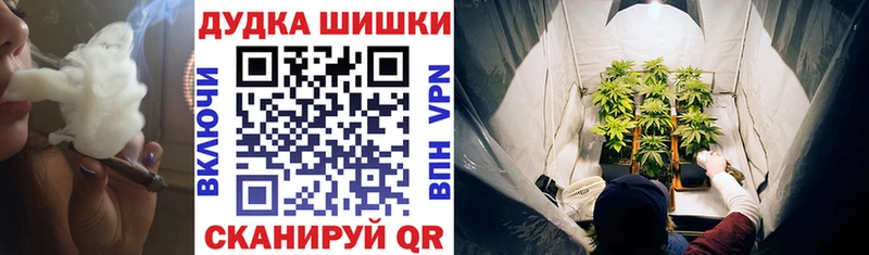 где продают   Бородино  Канабис гибрид 